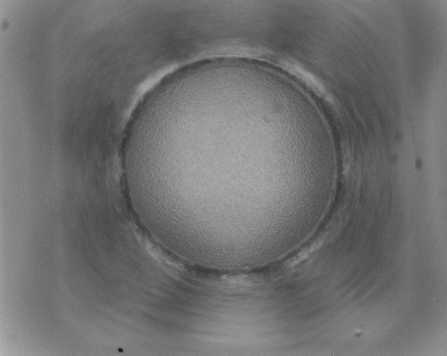 X0000071961264200607282024