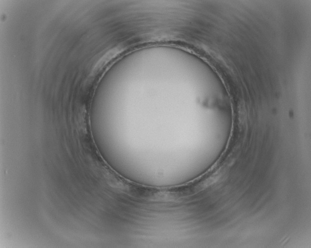 X0000071961265200607282024