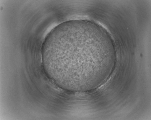 X0000071961267200607282024