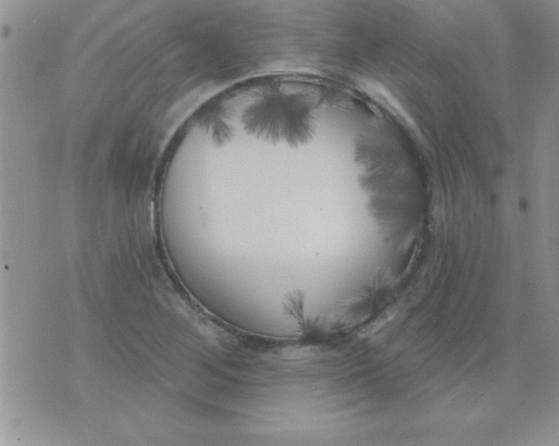 X0000071961268200607282024