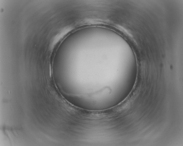 X0000071961269200607282024