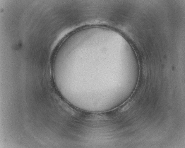 X0000071961270200607282024