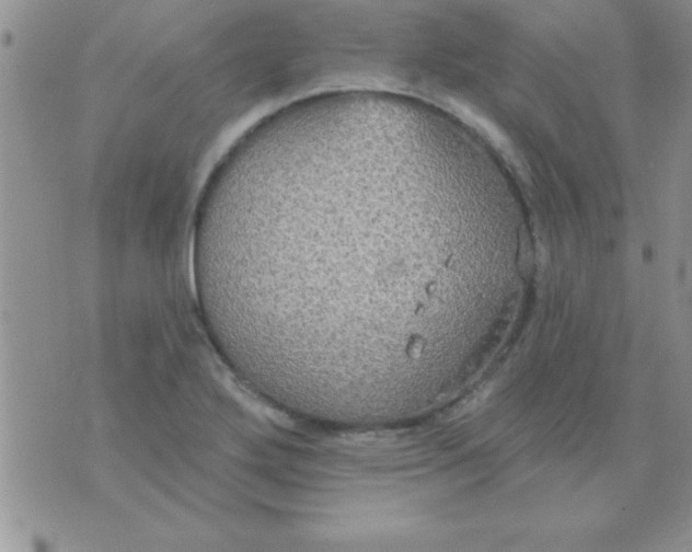 X0000071961272200607282024