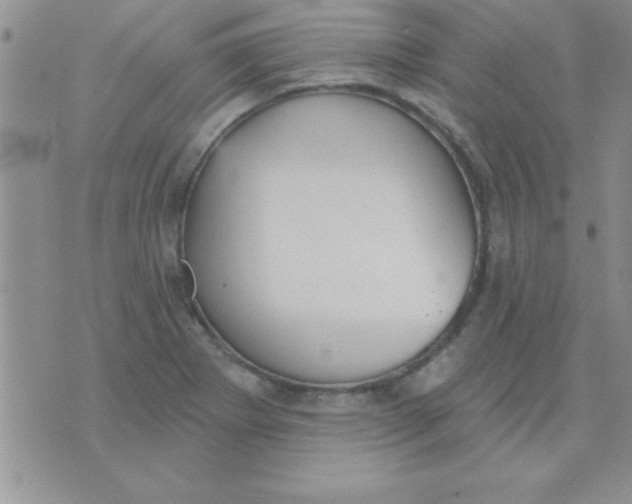 X0000071961273200607282024