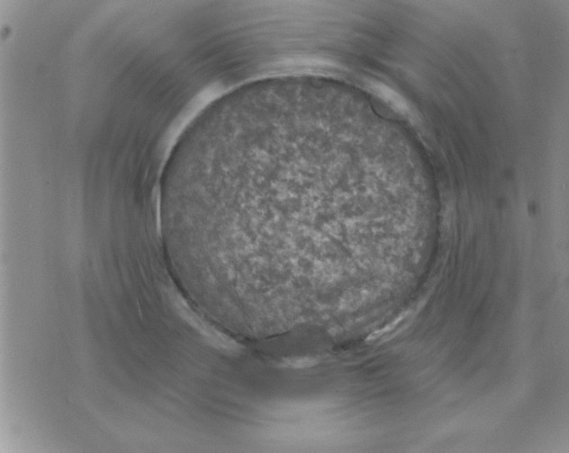 X0000071961275200607282024