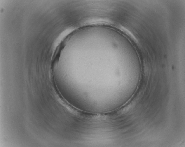 X0000071961277200607282024