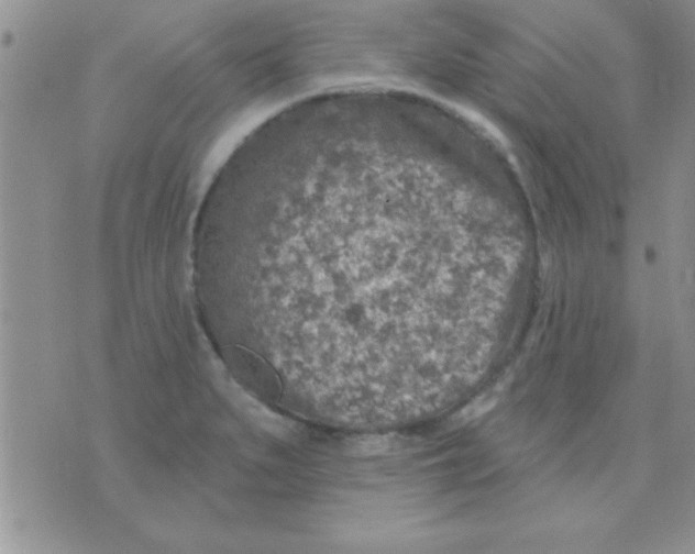 X0000071961279200607282024