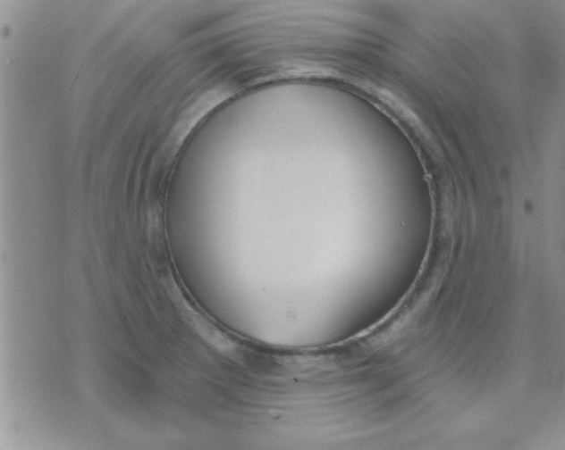 X0000071961281200607282024