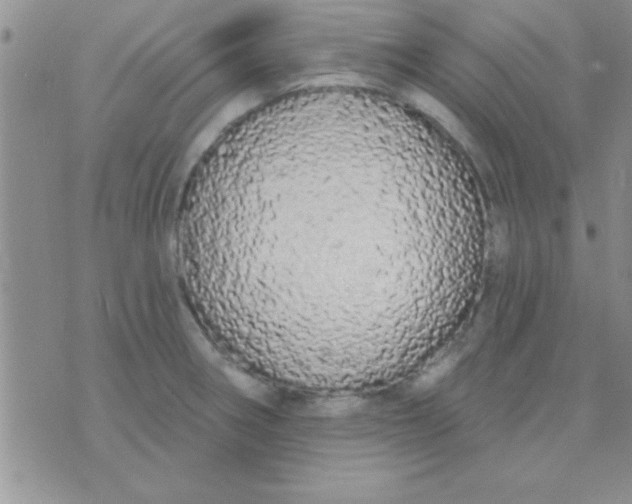 X0000071961282200607282024