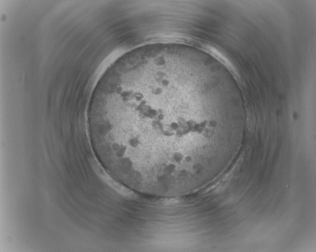 X0000071961283200607282024