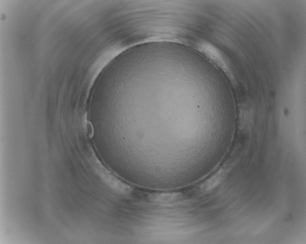 X0000071961284200607282024