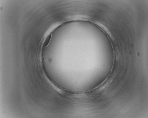 X0000071961285200607282024