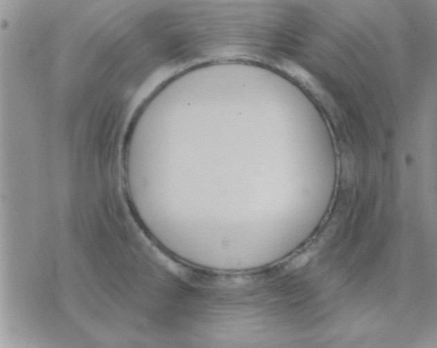 X0000071961286200607282024