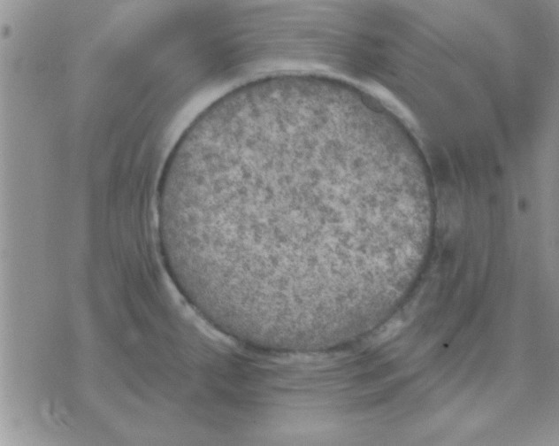 X0000071961287200607282024