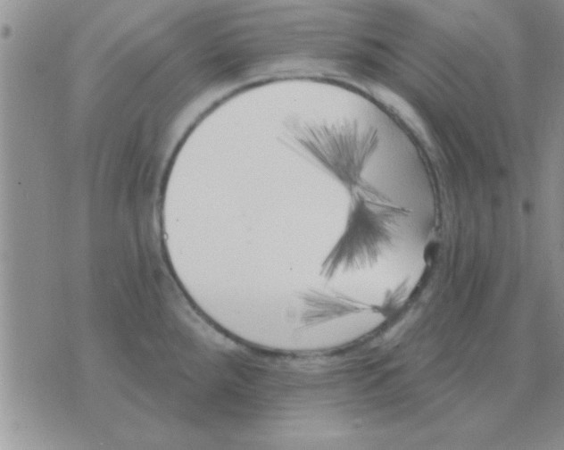 X0000071961288200607282024