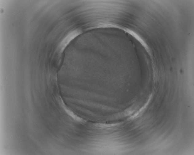 X0000071961289200607282024