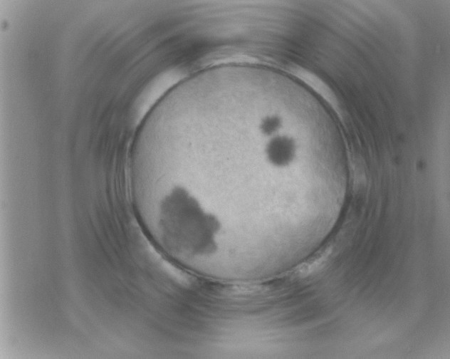 X0000071961290200607282024