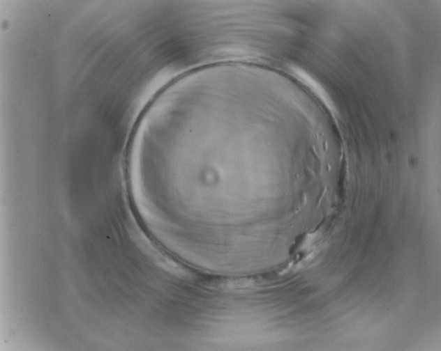 X0000071961291200607282024