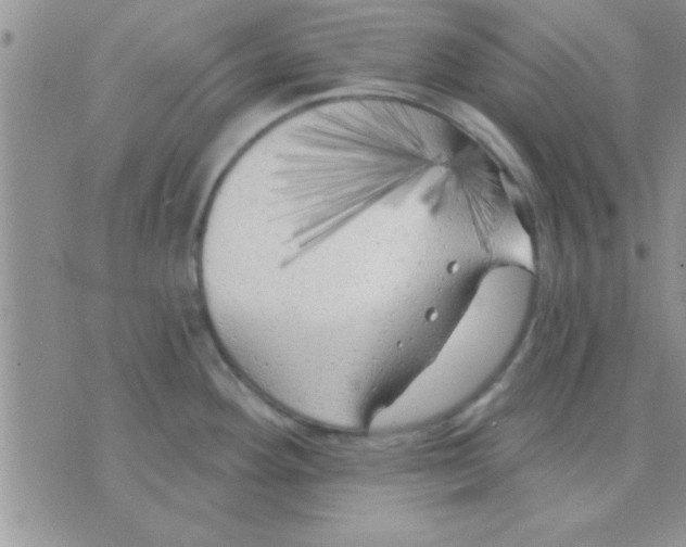 X0000071961292200607282024