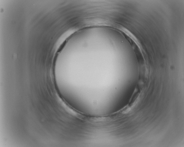 X0000071961293200607282024