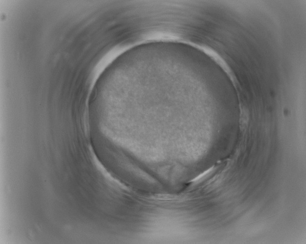 X0000071961295200607282024