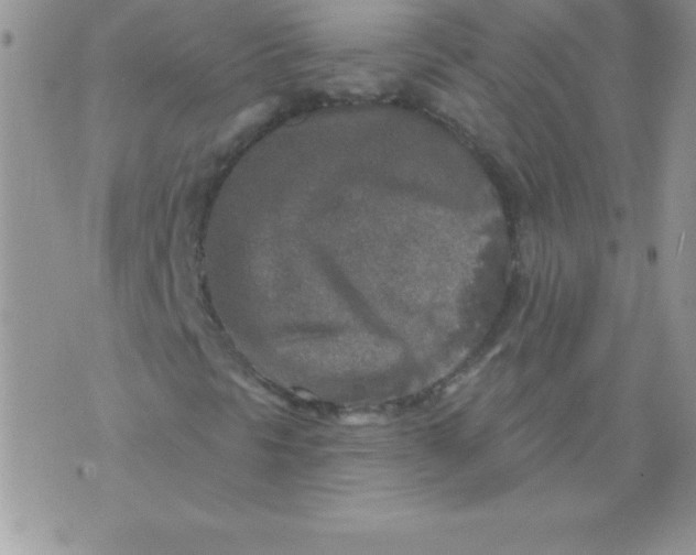 X0000071961297200607282023