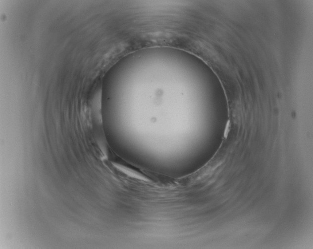 X0000071961298200607282023