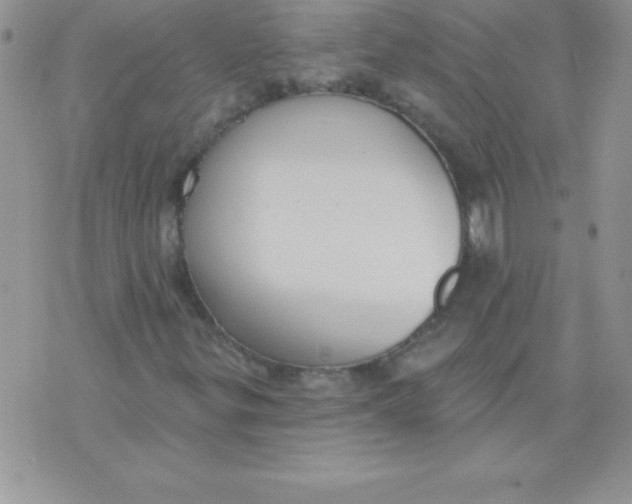 X0000071961299200607282023