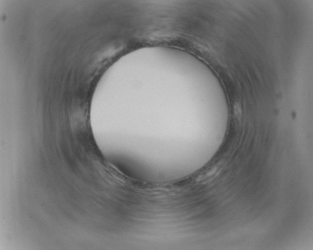 X0000071961300200607282023