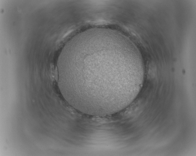 X0000071961301200607282023