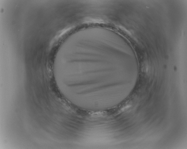 X0000071961303200607282023