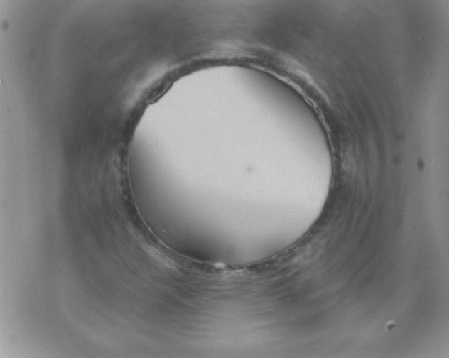 X0000071961304200607282023