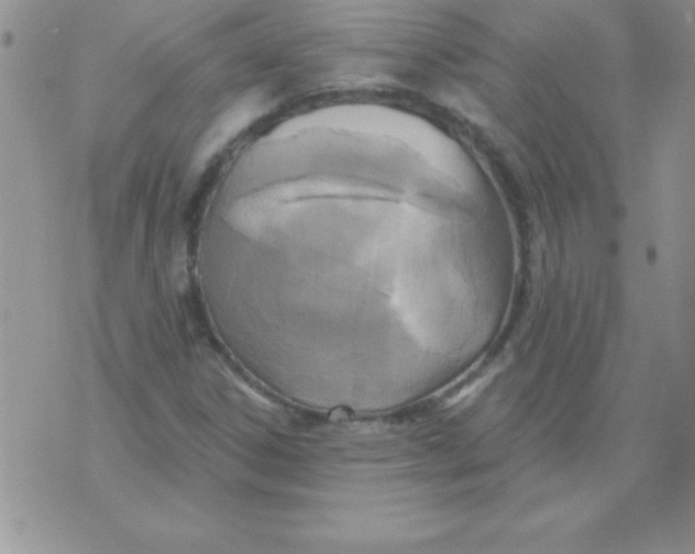 X0000071961306200607282023