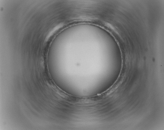 X0000071961307200607282023