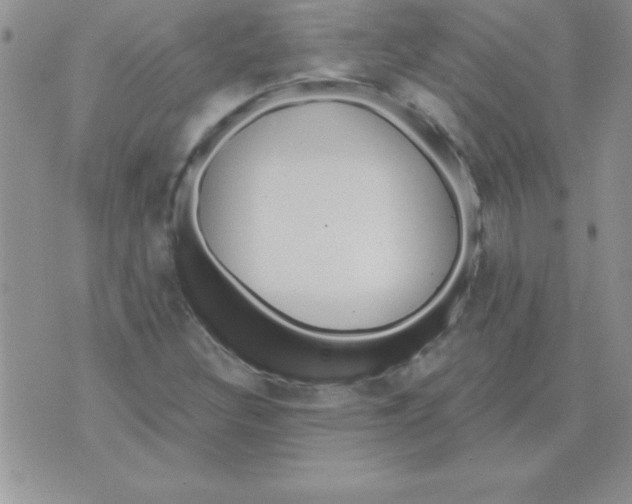 X0000071961308200607282023