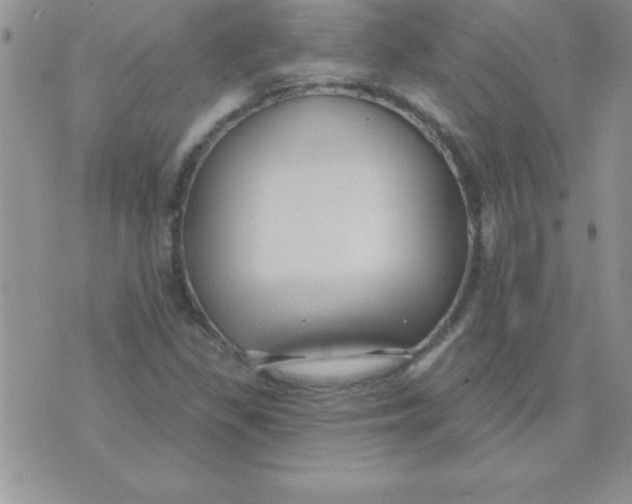 X0000071961309200607282023