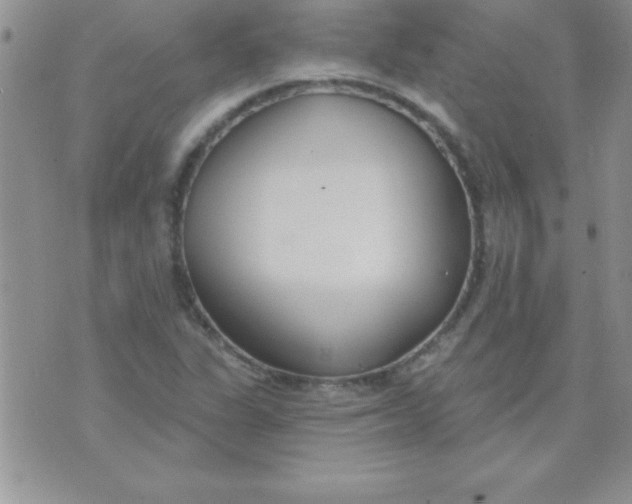 X0000071961311200607282023