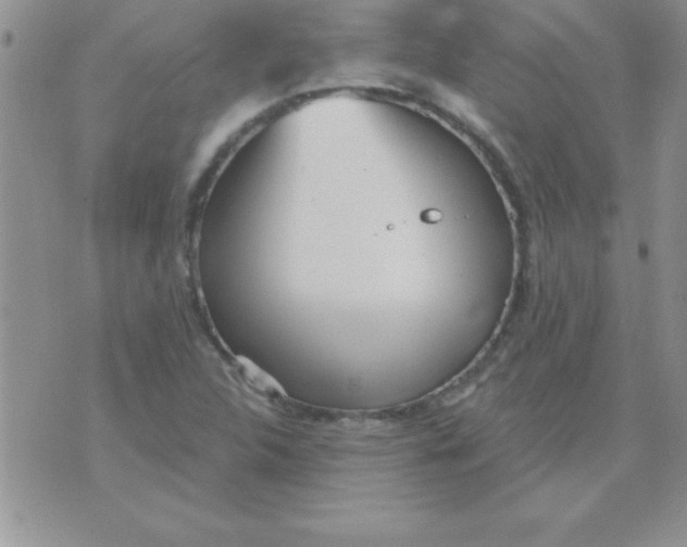 X0000071961312200607282023