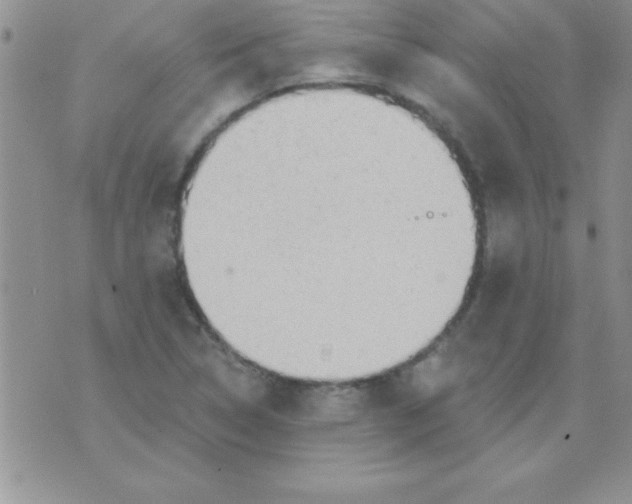 X0000071961314200607282023