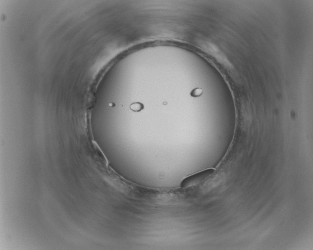 X0000071961316200607282023