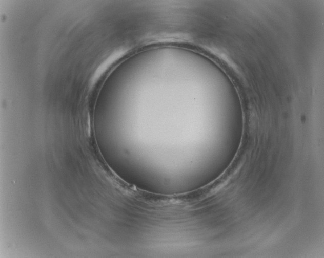 X0000071961317200607282023