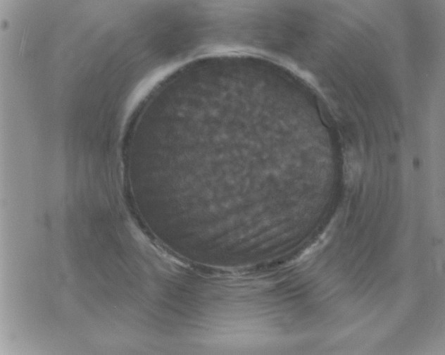 X0000071961319200607282023