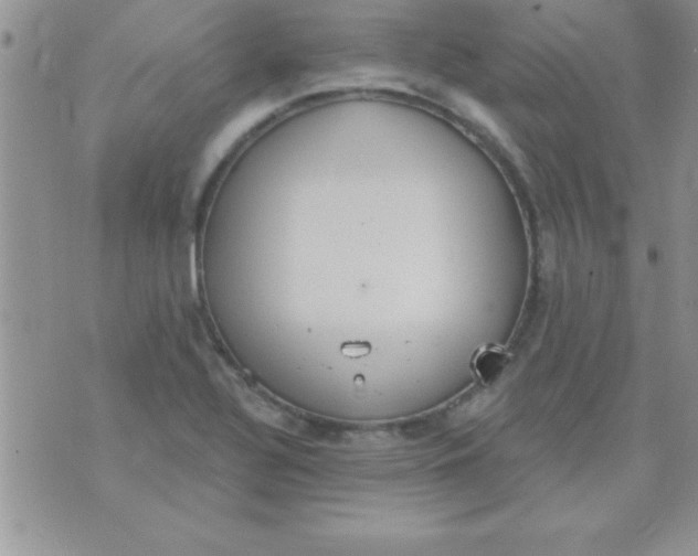 X0000071961320200607282023