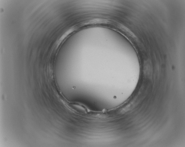 X0000071961321200607282023