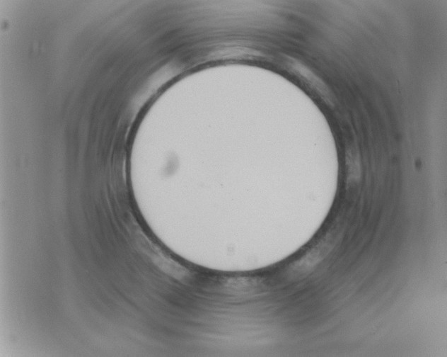 X0000071961322200607282023