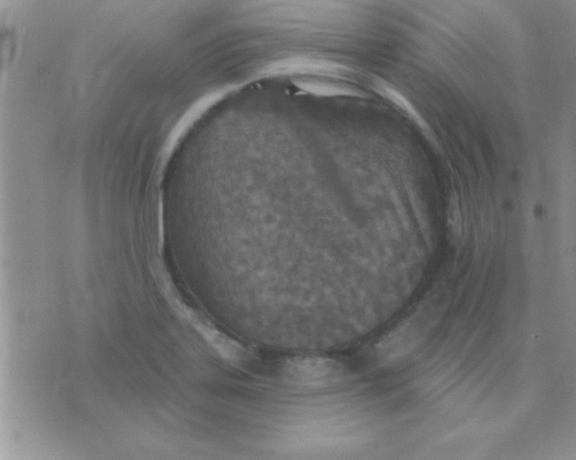 X0000071961323200607282023