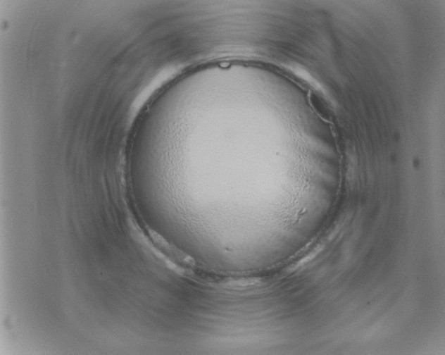 X0000071961325200607282023