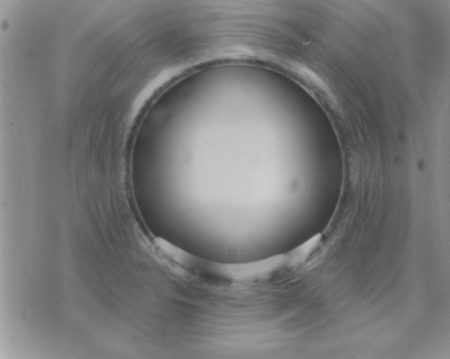 X0000071961326200607282023