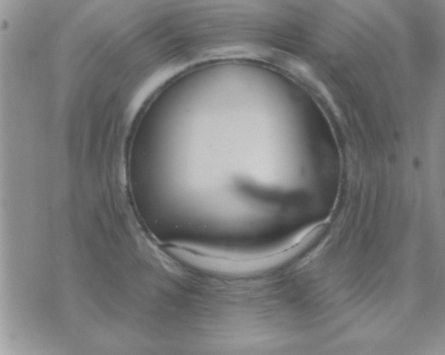 X0000071961328200607282023