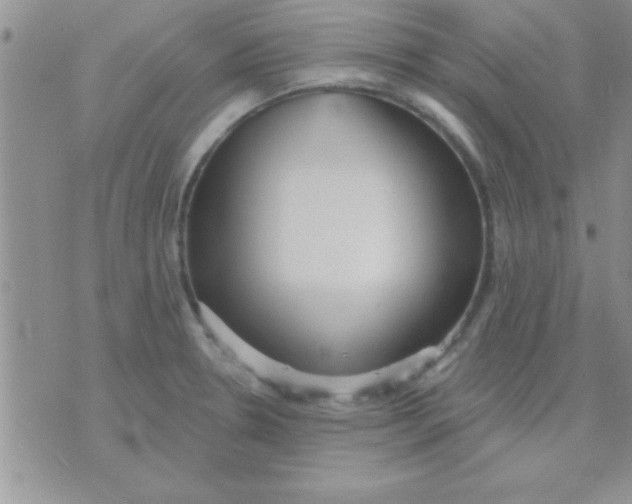 X0000071961330200607282023